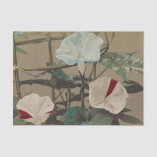 Morning Glory by Ogawa Kazumasa Seidenpapier