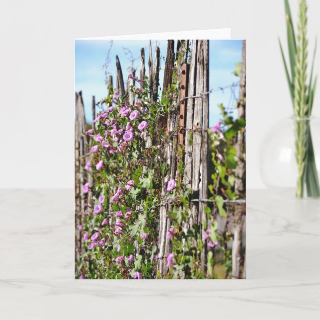 Morning Glory Flowers Écriture Carte Hébreux 10:23 (Devant)