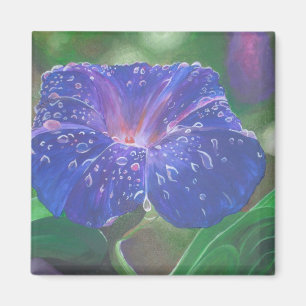 Morning Glory (Ipomoea Purpurea) Petals und Dew Dr Magnet