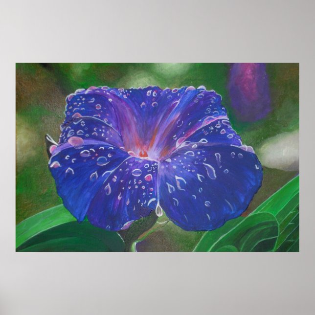 Morning Glory (Ipomoea Purpurea) Petals und Dew Dr Poster (Vorne)