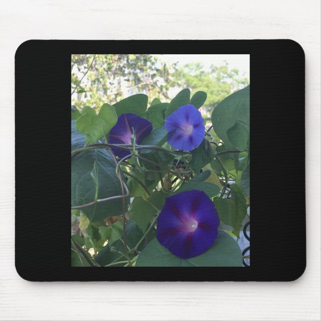 Morning Glory Kaleidoscope Mousepad (Vorne)