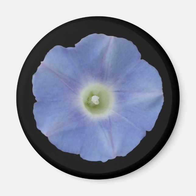 Morning Glory Magnet (Vorne)
