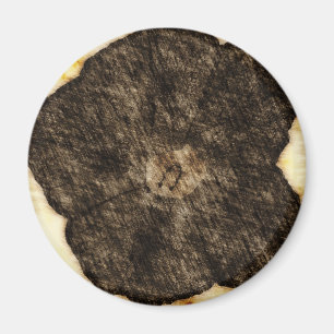 Morning Glory Old Time Sketch Magnet