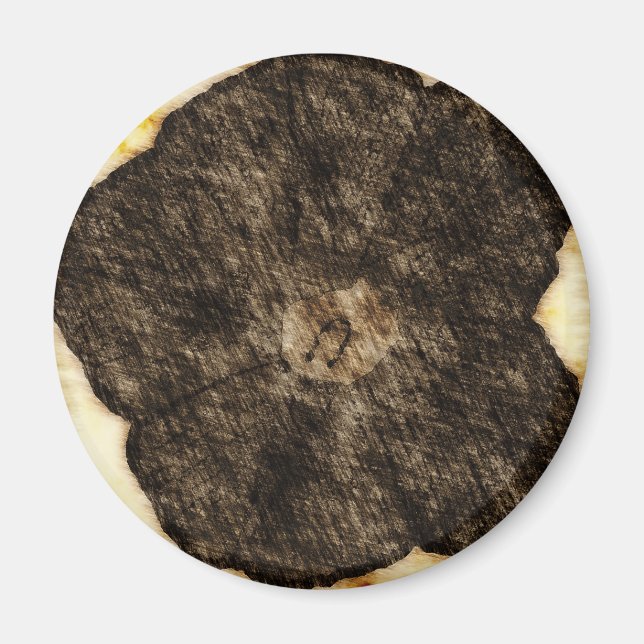 Morning Glory Old Time Sketch Magnet (Vorne)