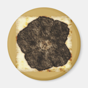 Morning Glory Old Time Sketch Magnet