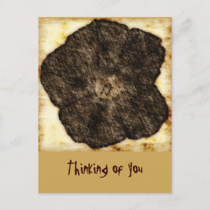 Morning Glory Old Time Sketch Postkarte