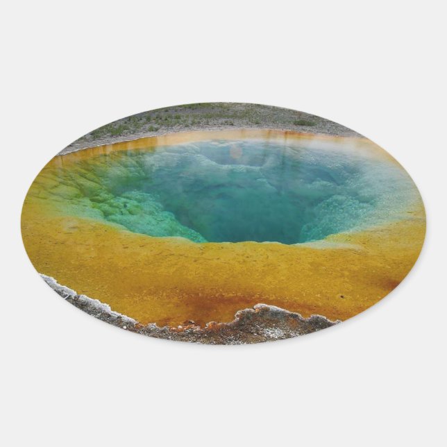 Morning Glory Pool Oval Stickers (Vorderseite)