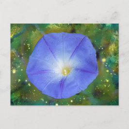 Morning Glory Post Card Postkarte