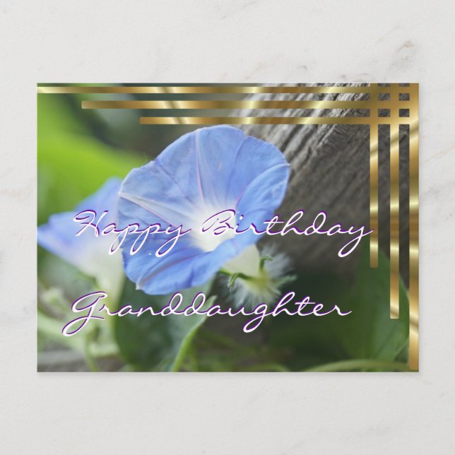 Morning Glory Postcard für jeden Anlass - anpassen Postkarte (Vorderseite)