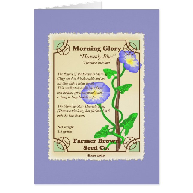 Morning Glory Seed Packet (Vorne)
