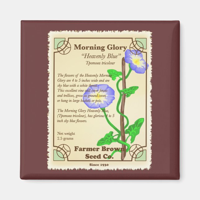 Morning Glory Seed Packet Magnet (Vorne)