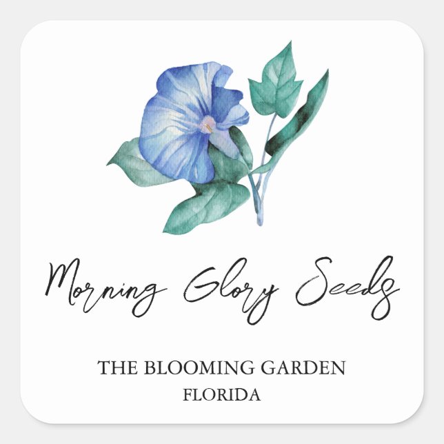 Morning Glory Seeds Label Quadratischer Aufkleber (Vorderseite)