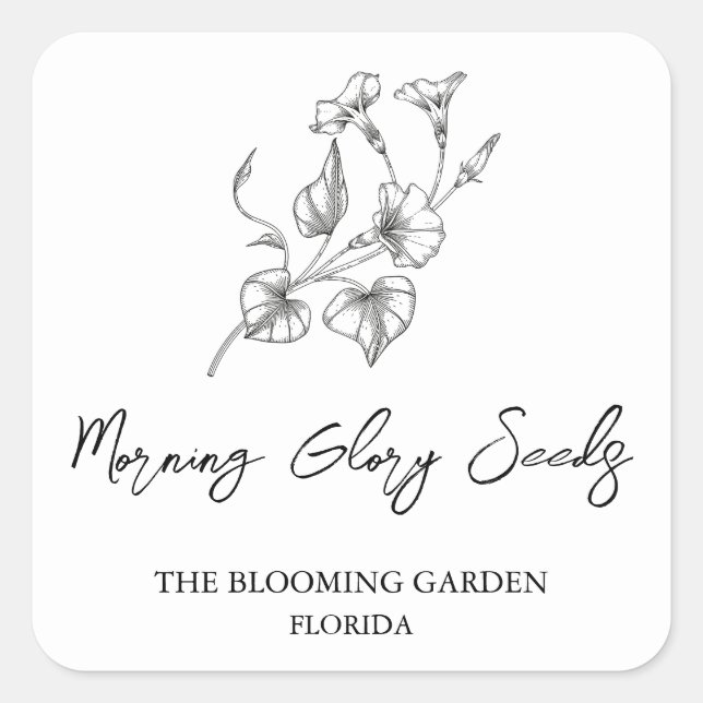 Morning Glory Seeds Label Quadratischer Aufkleber (Vorderseite)