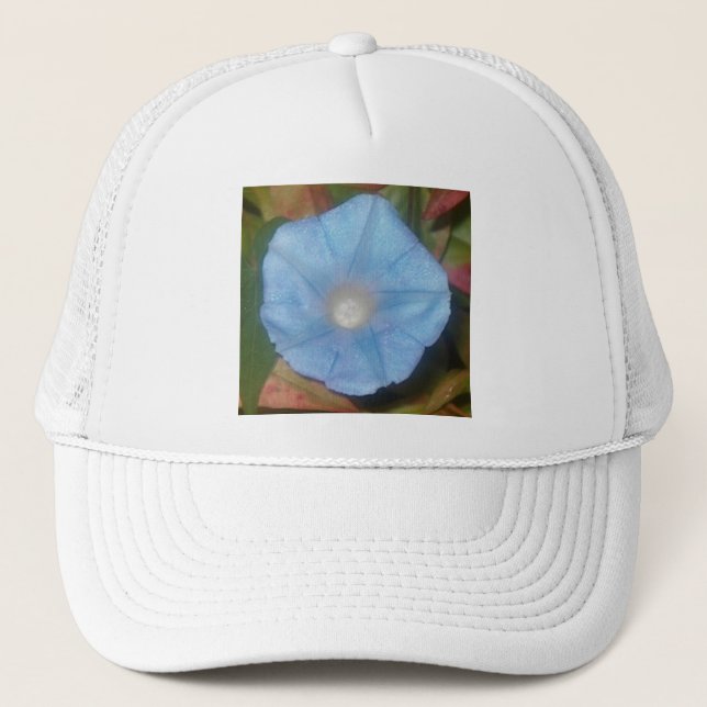 Morning Glory Star Truckerkappe (Vorderseite)