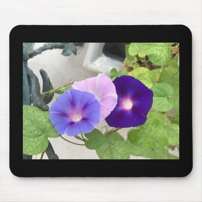 Morning Glory Trio Mousepad (Vorne)
