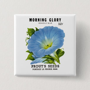 Morning Glory Vintag Seed Packet Button