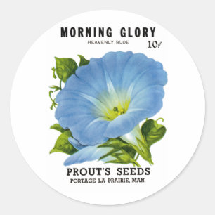 Morning Glory Vintag Seed Packet Runder Aufkleber