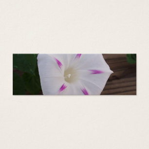 Morning Glory White Lesezeichen