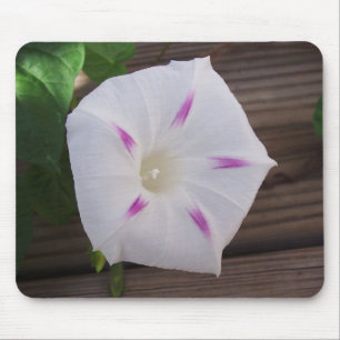 Morning Glory White Mousepad