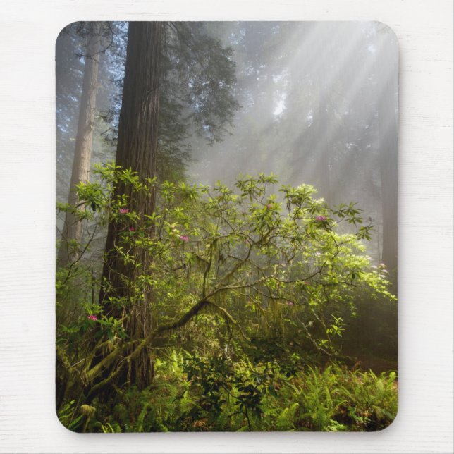 Morning Mist on Rhododendron Mousepad (Vorne)