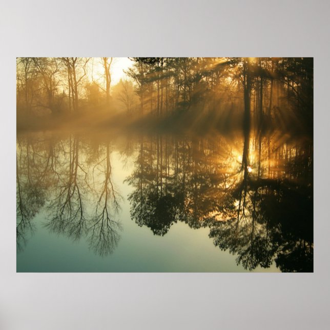 Morning Mist Poster (Vorne)