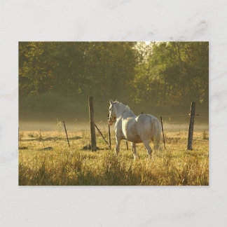 Morning Pasteur Szene Postkarte