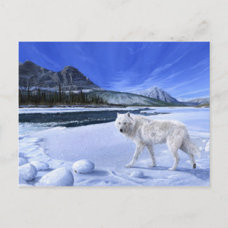 Morning Patrol White Wolf Fluss Postcard Postkarte