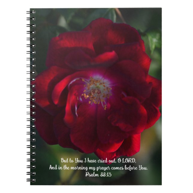 Morning Red Rose Bible Verse Prayer Journal Notizblock (Vorderseite)
