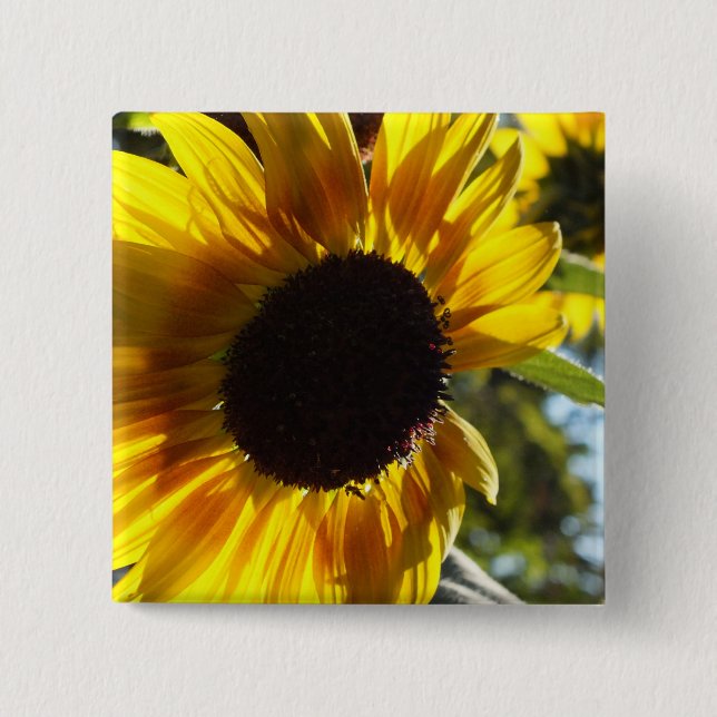 Morning Sonnenblume individuell einstellbar Button (Vorderseite)