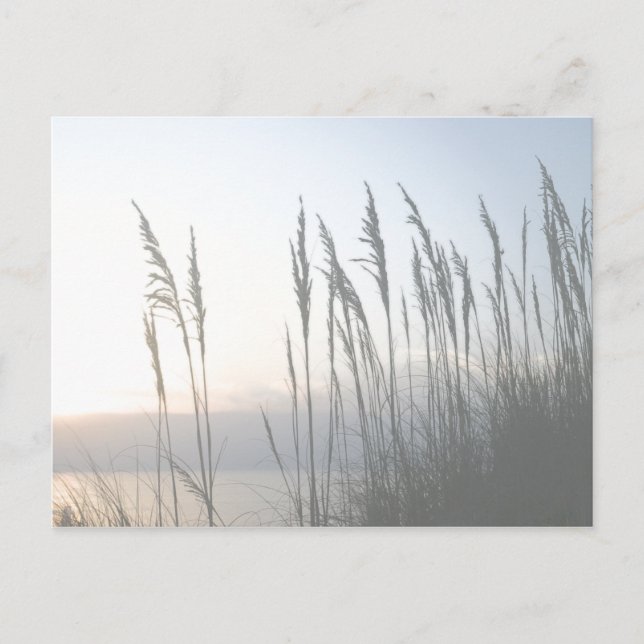 Morning Whisky Postkarte (Vorderseite)