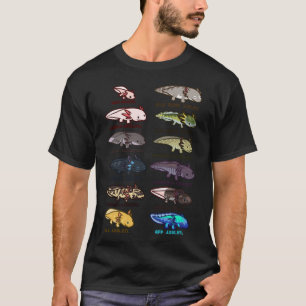 morphes et couleurs axolotl T-shirt classique