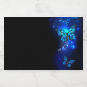 Morpho Butterfly in the Dark Background