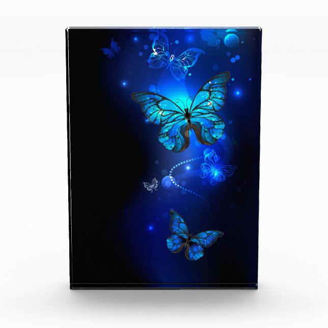Morpho Butterfly in the Dark Background Fotoblock (Vorderseite)