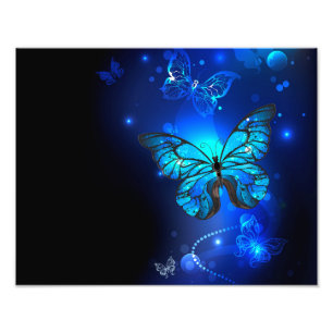 Morpho Butterfly in the Dark Background Fotodruck