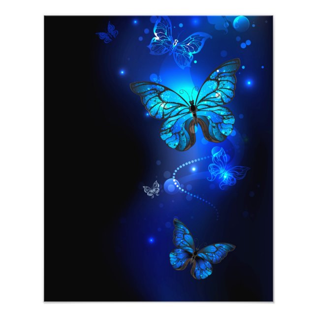 Morpho Butterfly in the Dark Background Fotodruck (Vorne)