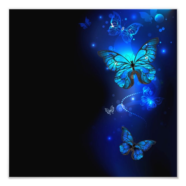 Morpho Butterfly in the Dark Background Fotodruck (Vorne)