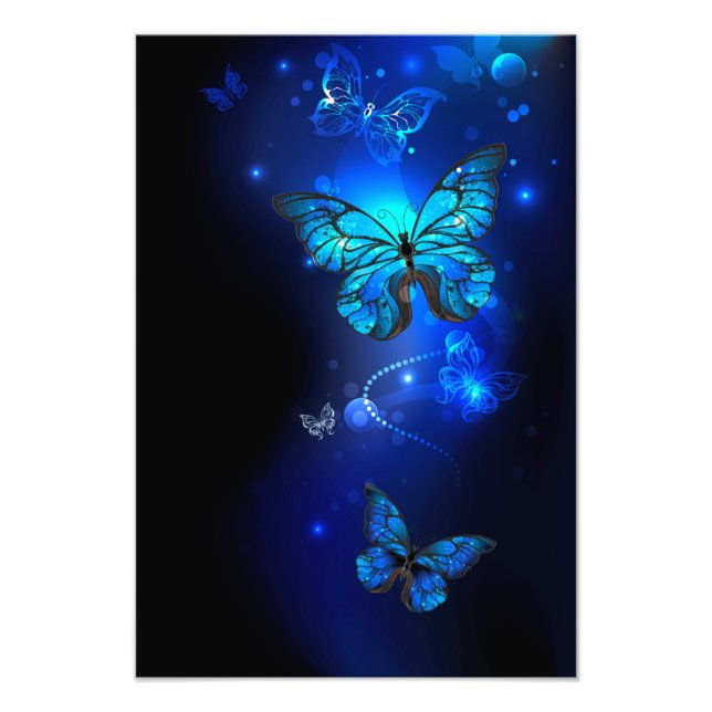 Morpho Butterfly in the Dark Background Fotodruck (Vorne)