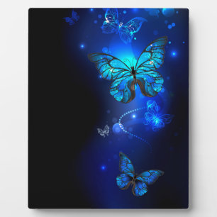Morpho Butterfly in the Dark Background Fotoplatte