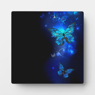 Morpho Butterfly in the Dark Background Fotoplatte