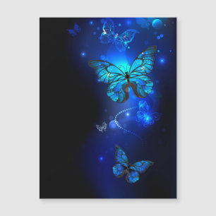 Morpho Butterfly in the Dark Background Magnetkarte