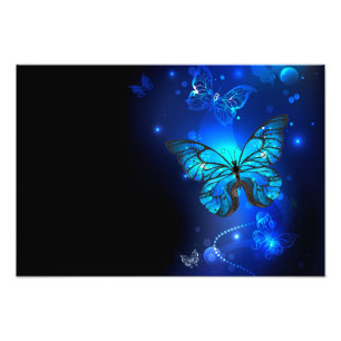 Morpho-Schmetterling im dunklen Hintergrund Fotodruck
