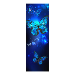 Morpho-Schmetterling im dunklen Hintergrund Fotodruck