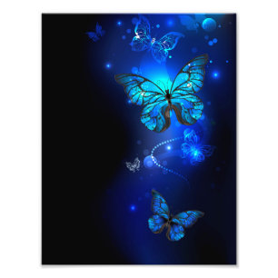 Morpho-Schmetterling im dunklen Hintergrund Fotodruck