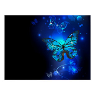 Morpho-Schmetterling im dunklen Hintergrund Poster