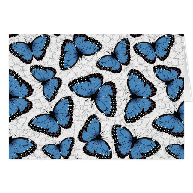 Morpho-Schmetterlinge (Vorderseite (Horizontal))