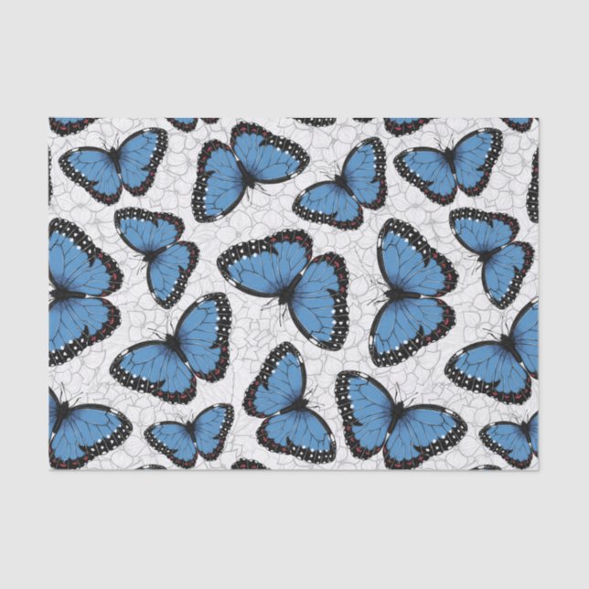 Morpho-Schmetterlinge Seidenpapier (Vorderseite)