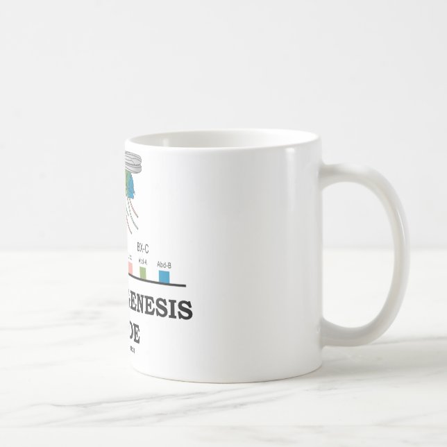 Morphogenese-Innere Kaffeetasse (Rechts)