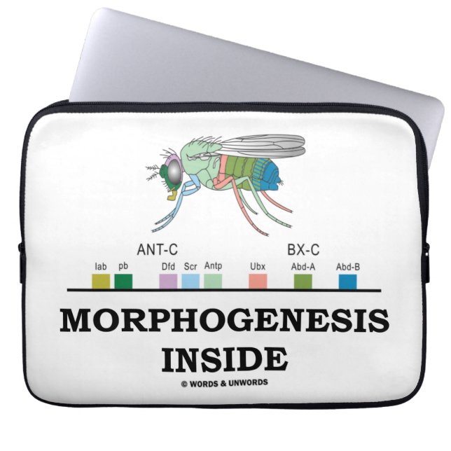 Morphogenese-Innere (Taufliegehomeobox-Gene) Laptopschutzhülle (Vorderseite)