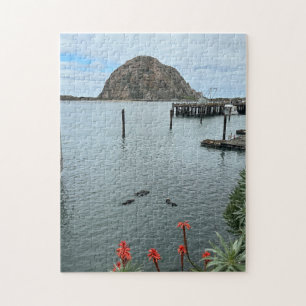 Morro Bay Rock mit Otters