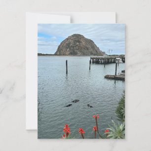 Morro Bay Rock mit Otters Postkarte